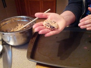 little cookie patties