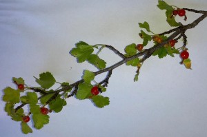 A currant branch.