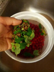 Scoop out the junk as it floats to the top