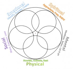 WholisticSelfChart_blank